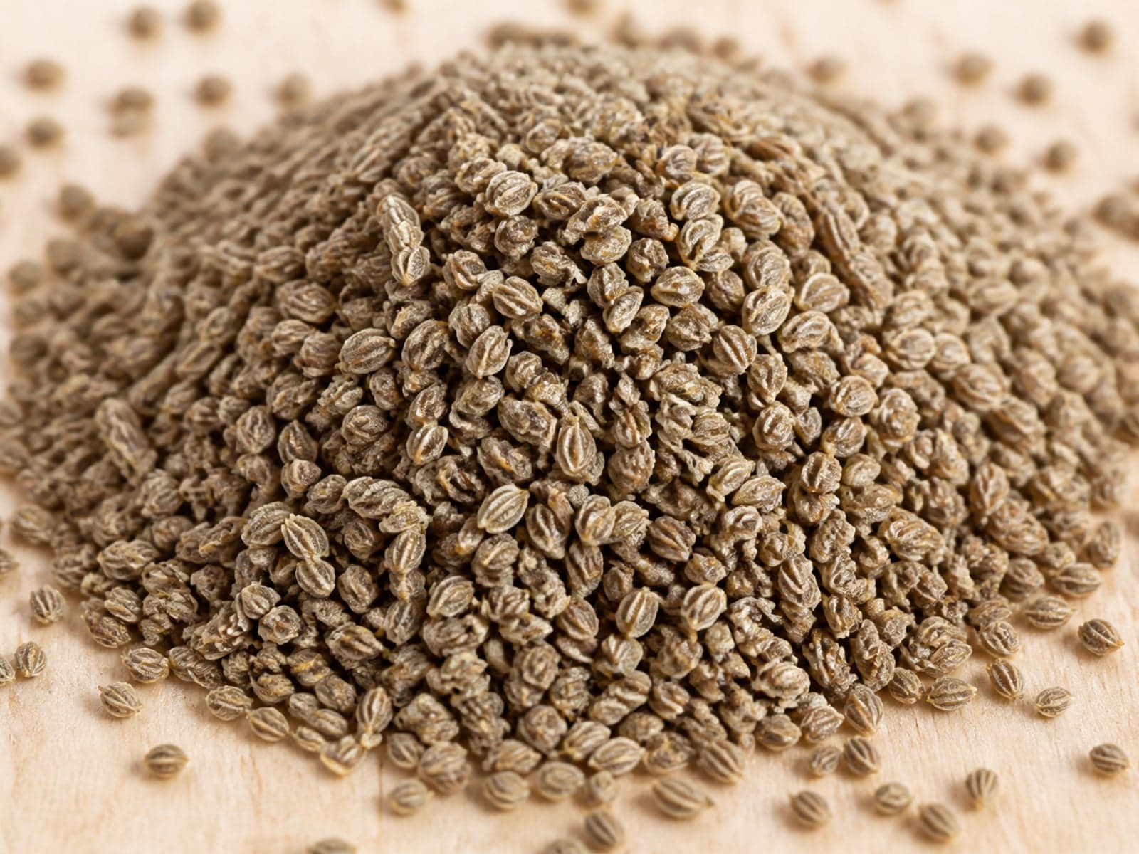Ajwain carom seeds ready for spice wholesale