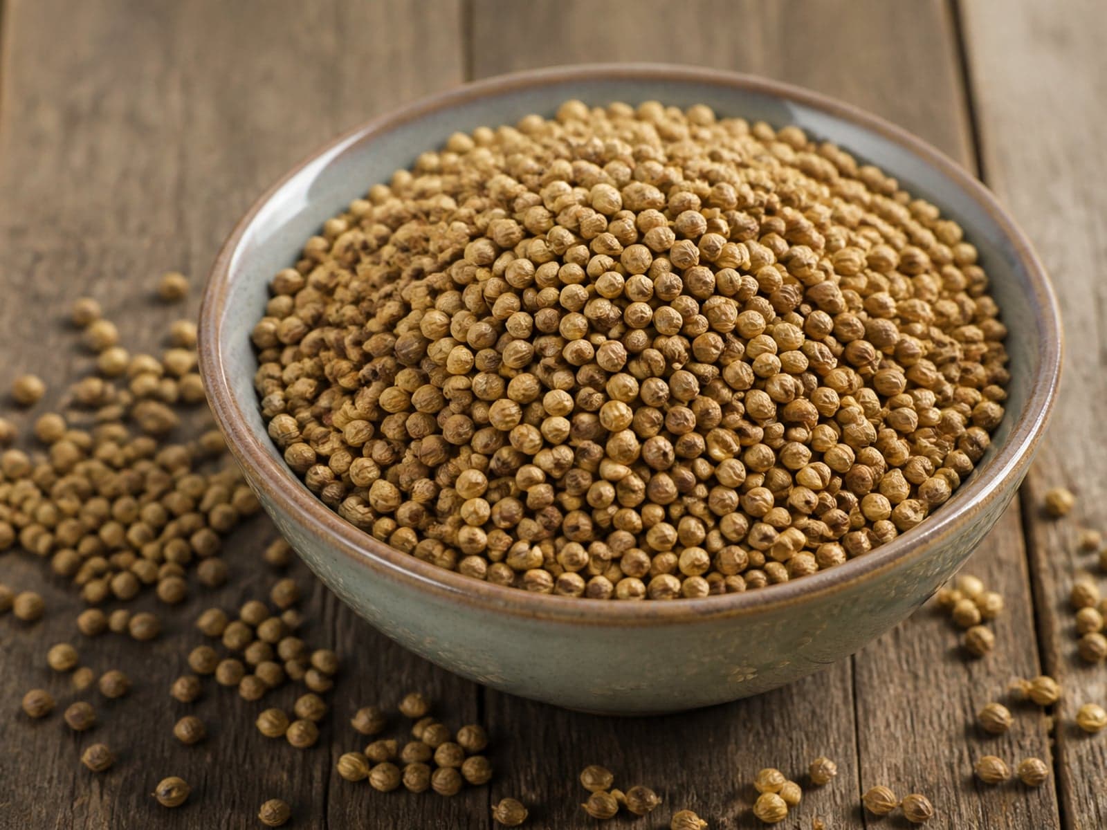 Coriander dhania seeds for commercial wholesale