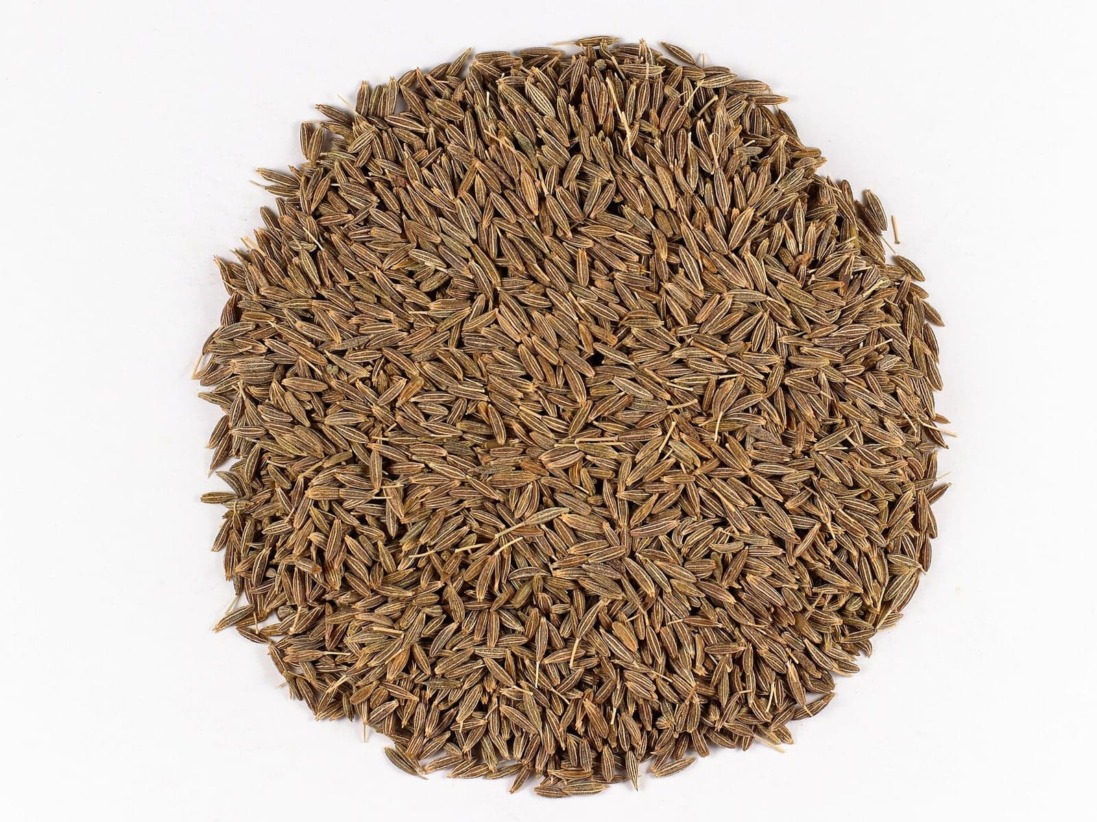 Cumin jeera seeds displayed for wholesale buyers