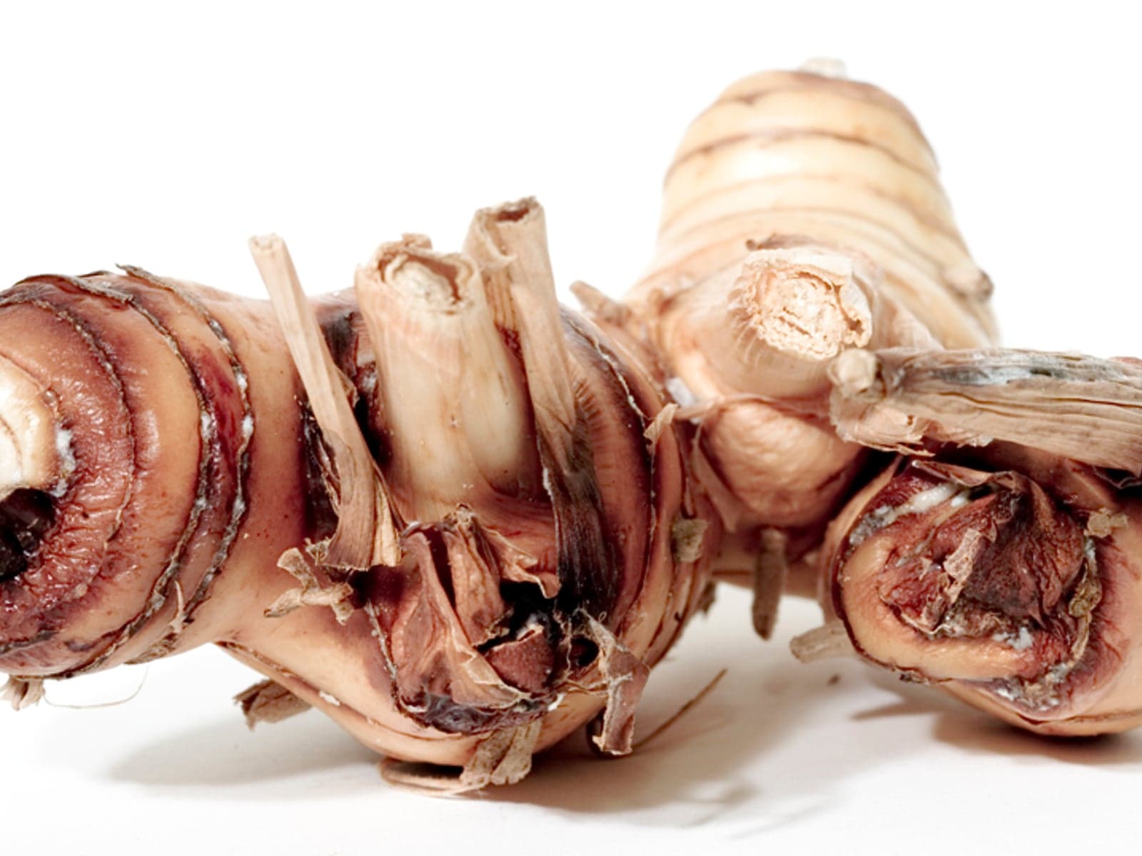 Galangal roots prepared for specialty wholesale